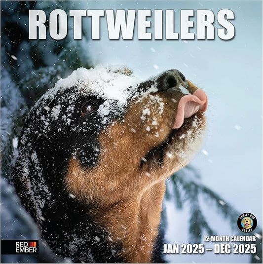 RED EMBER Rottweilers 2025 Wall Calendar 12 Month | 12" x 24" Open | Thick & Sturdy Paper | Giftable | Calendar 2025