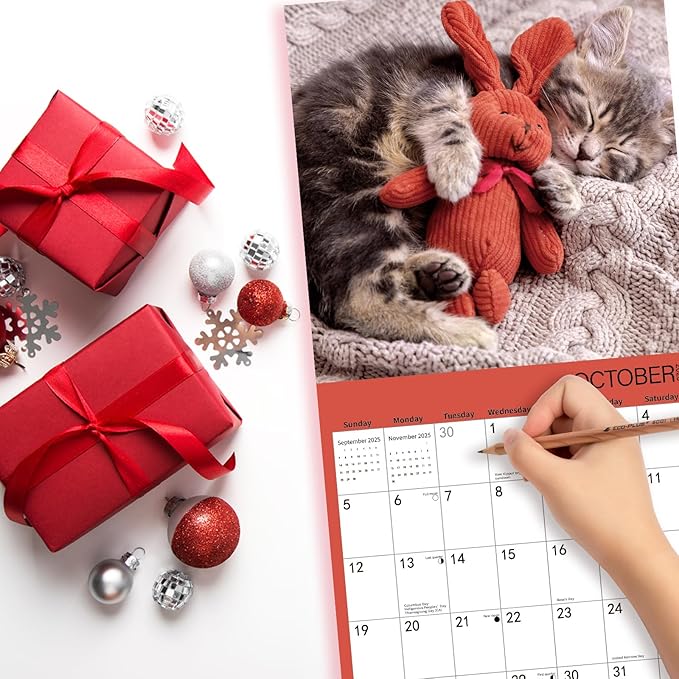 2025 Wall Calendar,Calendar 2025,Kittens Monthly Wall Calendar, 12" x 24" Open,Family Planner Calendar Organizer with baby kittens Images, for Kitty Cat Lovers