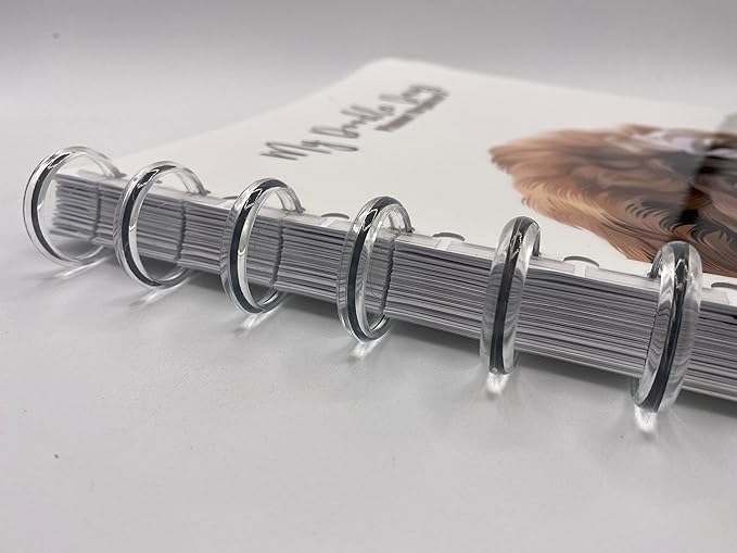 Discbound Expansion Discs, 1.1 Inch, Suitable for Customized Discbound Notebooks Planners Journals Scrapbooking, Fits All Disc Bound Planner Systems, Plastic, Clear Pack of 11