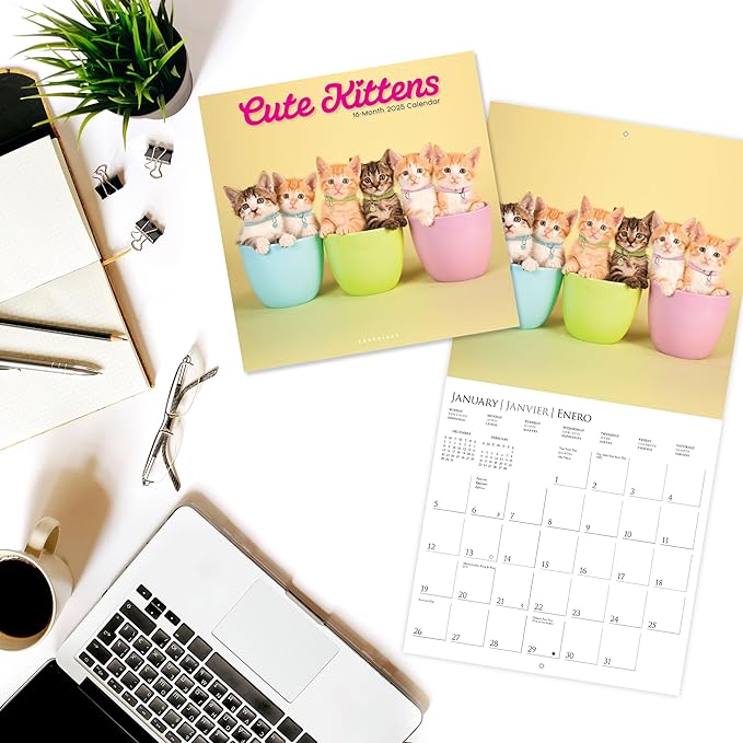 Graphique 2025 Cute Kittens Wall Calendar | 12” x 12” | Thick Paper | Home & Office Organizer | Large Monthly Grid | 3 Languages & Marked Holidays | 4 Month Preview Page for 2026