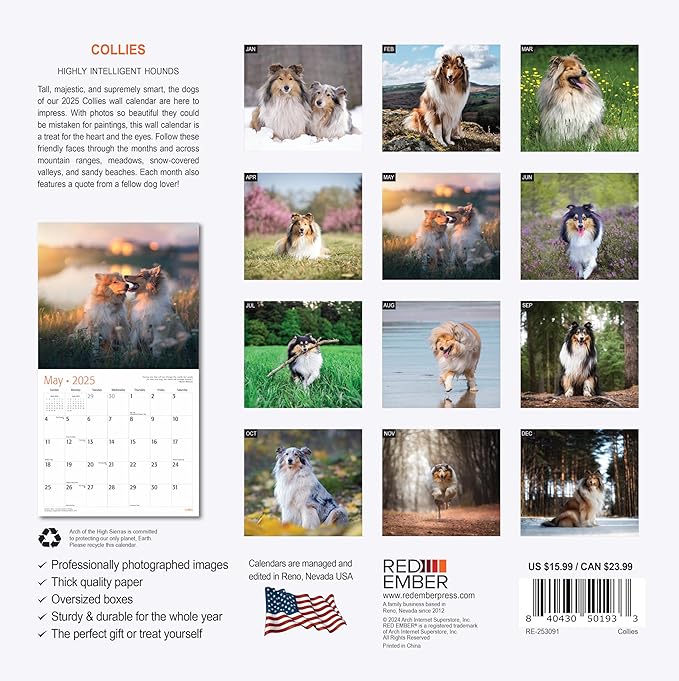 RED EMBER Collies 2025 Wall Calendar 12 Month | 12" x 24" Open | Thick & Sturdy Paper | Giftable | Calendar 2025