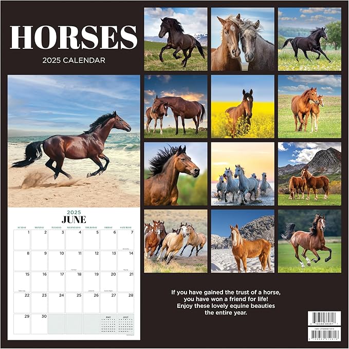 TF PUBLISHING 2025 Horses Wall Calendar Case of 48 - Large Grids for Appointments and Scheduling - Vertical Monthly Wall Calendar 2025 - Home and Office Organization - Premium Gloss Paper - 12"x12”