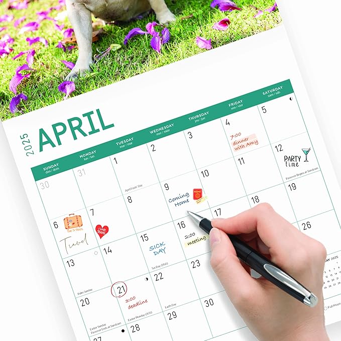 2025 French Bulldogs Monthly Wall Calendar by Bright Day, 12 x 12 Inch Cute Dog Breed Gift