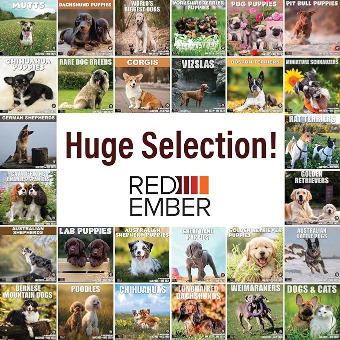 RED EMBER Great Dane Puppies 2025 Wall Calendar 12 Month | 12" x 24" Open | Thick & Sturdy Paper | Giftable | Calendar 2025