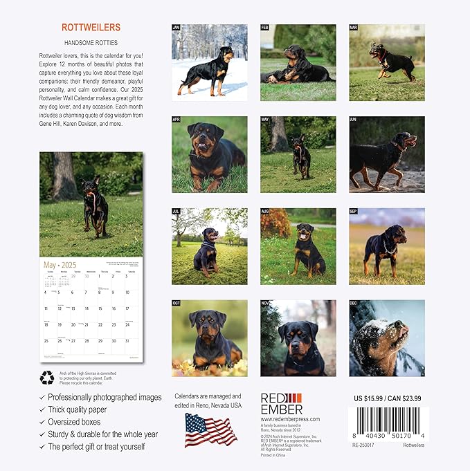 RED EMBER Rottweilers 2025 Wall Calendar 12 Month | 12" x 24" Open | Thick & Sturdy Paper | Giftable | Calendar 2025