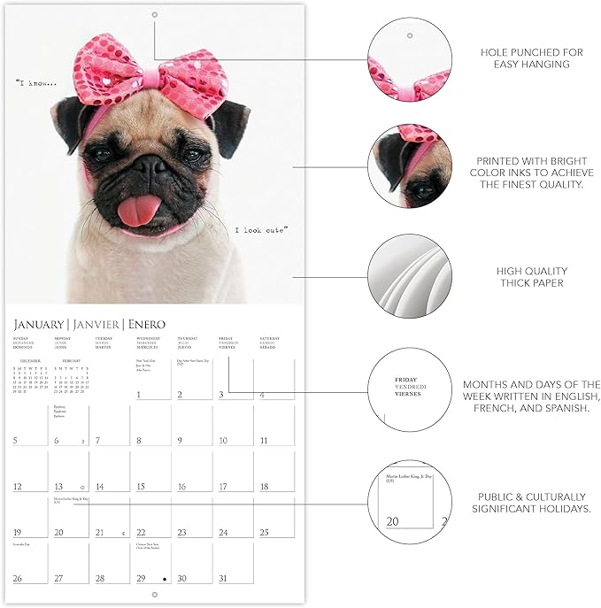 Graphique 2025 Pawparazzi Wall Calendar | 12” x 12” | Thick Paper | Home & Office Organizer | Large Monthly Grid | 3 Languages & Marked Holidays | 4 Month Preview Page for 2026