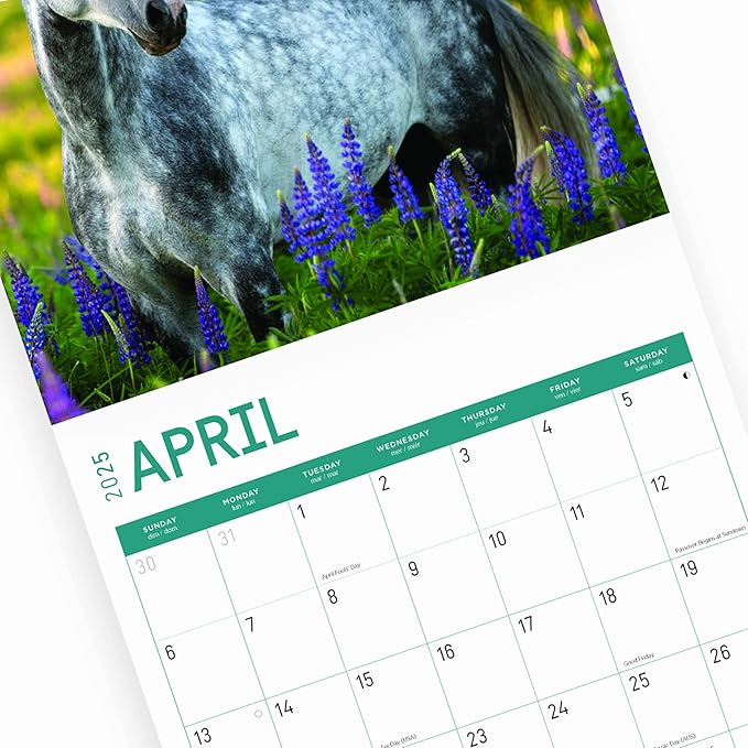 2025 Horses Monthly Wall Calendar by Bright Day, Includes Over 300 Stickers, 12 x 12 Inch