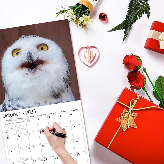 2025 Wall Calendar,Funny Calendar 2025, November 2024 - December 2025, Wall Calendar Funny Animal Memes, 12" x 24" Opened, Full Page 14 Months Thick Paper for Gift Calendar Organizing Planning