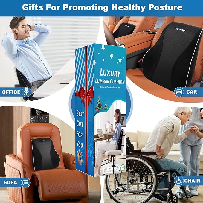 Lumbar Support Pillow for Office Chair Car, Gaming Chair Lower Back Pain Relief Memory Foam Cushion with Greeting Card,3D Mesh Cover Ergonomic Orthopedic Back Rest,Happy Birthday Gift Box for Women