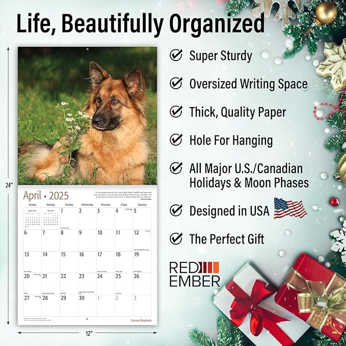 RED EMBER German Shepherds 2025 Wall Calendar 12 Month | 12" x 24" Open | Thick & Sturdy Paper | Giftable | Calendar 2025