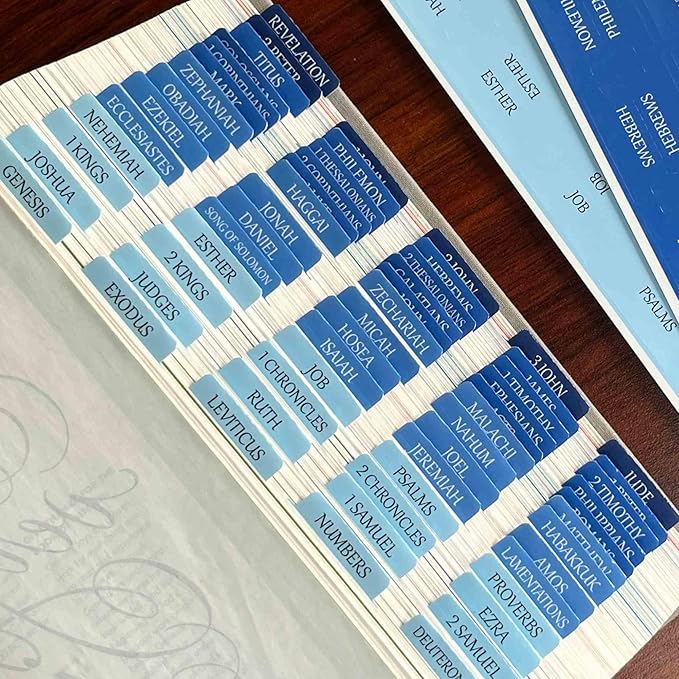 Thinkor Reposition Bible Tabs, Large Print Lanimated Stickers, Easy to Read and Apply Bible Tabs for Women and Man (Four Blue)