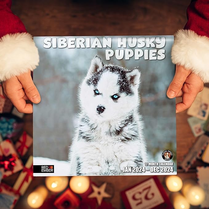 RED EMBER Siberian Husky Puppies 2024 Wall Calendar 12 Month | 12" x 24" Open | Thick & Sturdy Paper | Giftable | Calendar 2024