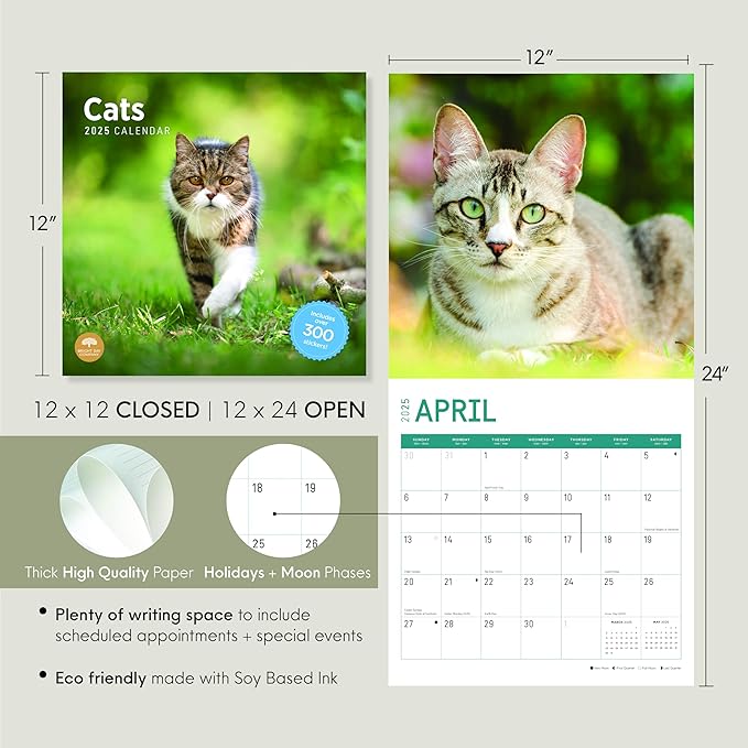 2025 Cats Monthly Wall Calendar by Bright Day, Includes Over 300 Stickers, 12 x 12 Inch