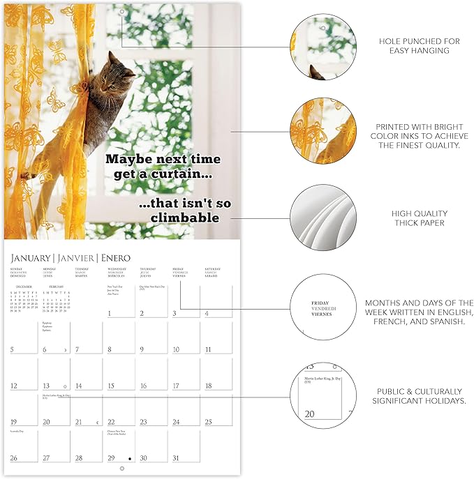 Graphique 2025 Nuthin' But Trouble Wall Calendar | 12” x 12” | Thick Paper | Home & Office Organizer | Large Monthly Grid | 3 Languages & Marked Holidays | 4 Month Preview Page for 2026