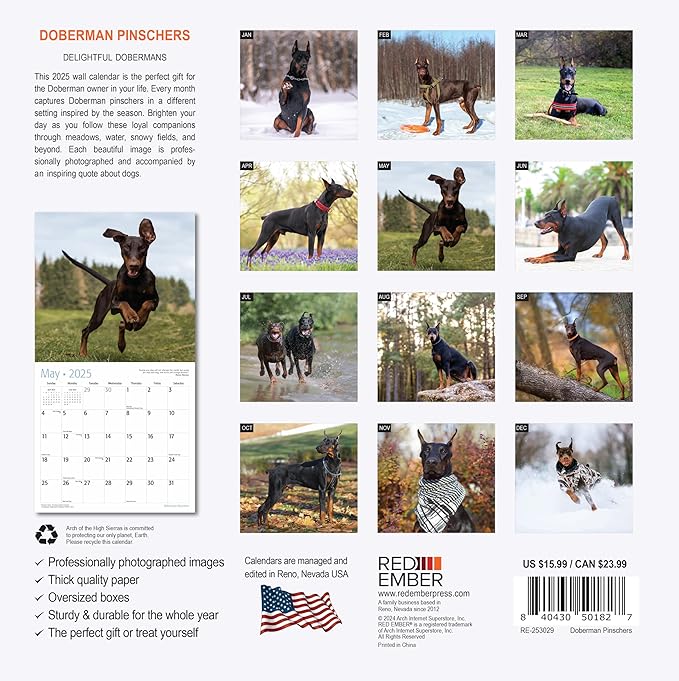 RED EMBER Doberman Pinschers 2025 Wall Calendar 12 Month | 12" x 24" Open | Thick & Sturdy Paper | Giftable | Calendar 2025