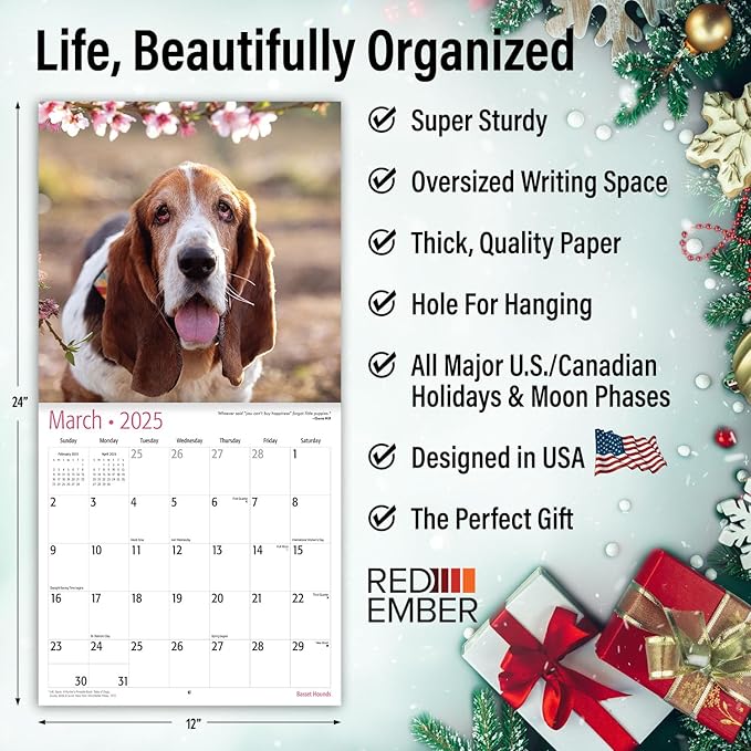 RED EMBER Basset Hounds 2025 Wall Calendar 12 Month | 12" x 24" Open | Thick & Sturdy Paper | Giftable | Calendar 2025