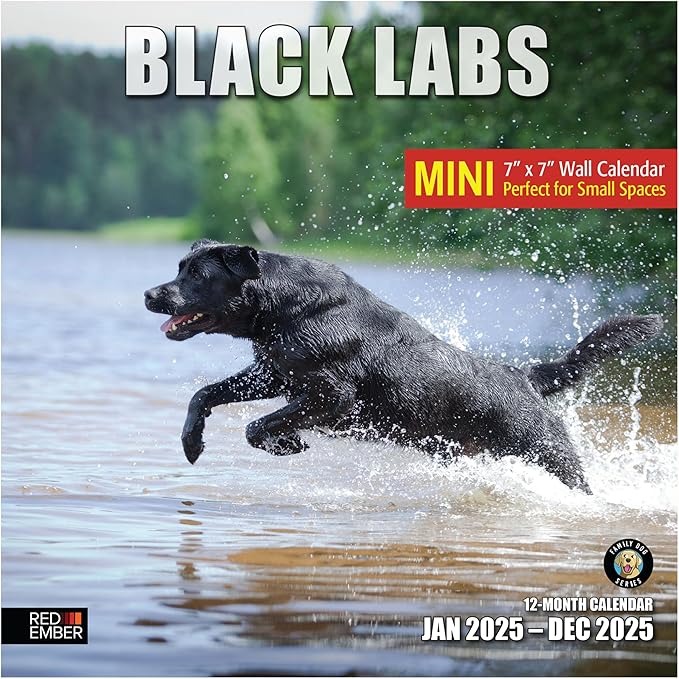 RED EMBER Black Labs Mini 2025 Wall Calendar 12 Month | 7" x 14" Open | Thick & Sturdy Paper | Giftable | Calendar 2025
