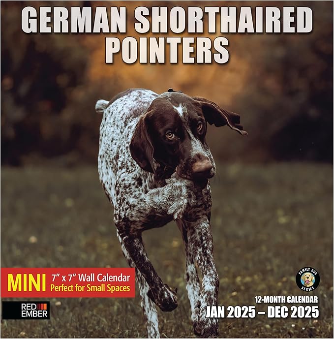 RED EMBER German Shorthaired Pointers Mini 2025 Wall Calendar 12 Month | 7" x 14" Open | Thick & Sturdy Paper | Giftable | Calendar 2025