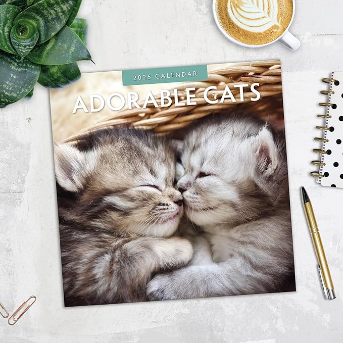 Adorable Cats -2025 Square Wall Calendar - by Red Robin Publishing