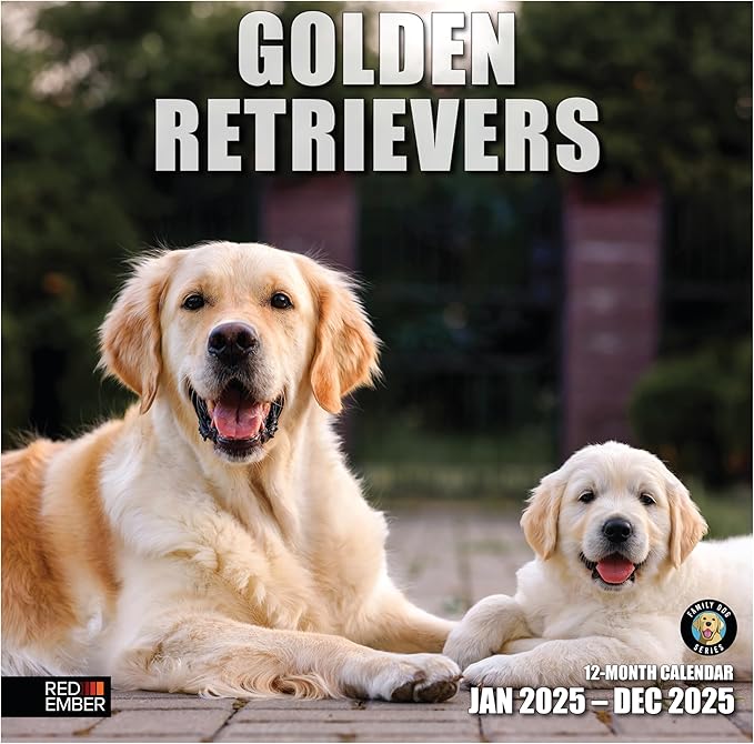 RED EMBER Golden Retrievers 2025 Wall Calendar 12 Month | 12" x 24" Open | Thick & Sturdy Paper | Giftable | Calendar 2025