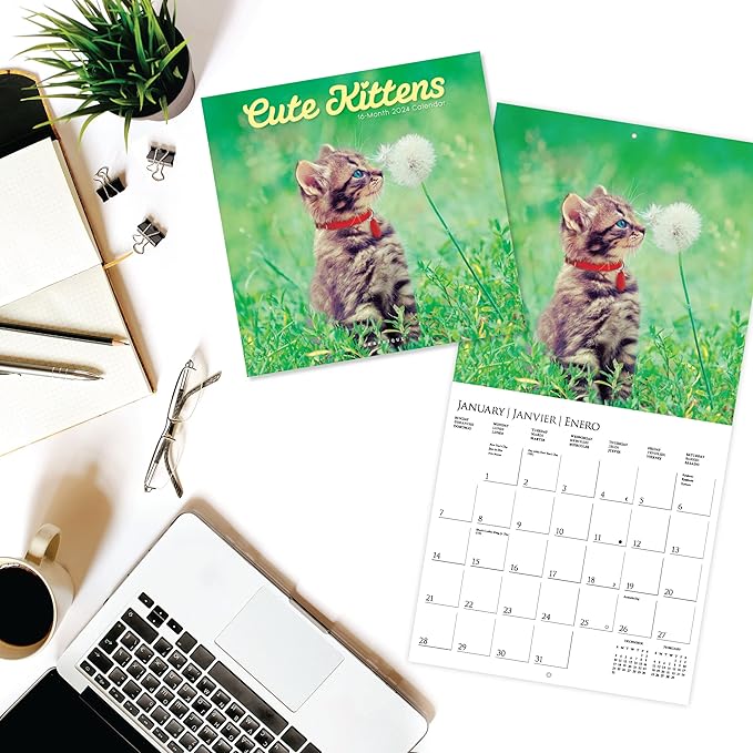 Graphique 2024 Cute Kittens Wall Calendar | 12” x 12” | Thick Paper | Home & Office Organizer | Large Monthly Grid | 3 Languages & Marked Holidays | 4 Month Preview Page for 2025