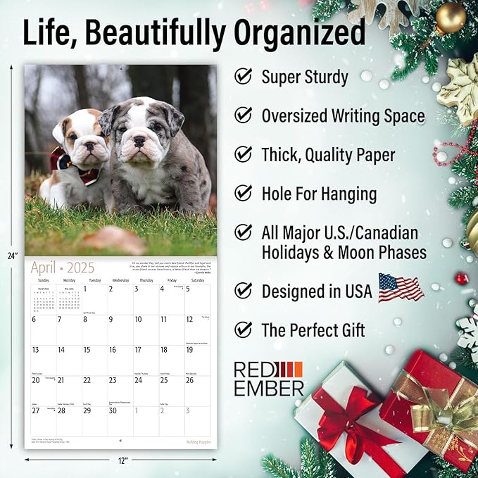 RED EMBER Bulldog Puppies 2025 Wall Calendar 12 Month | 12" x 24" Open | Thick & Sturdy Paper | Giftable | Calendar 2025
