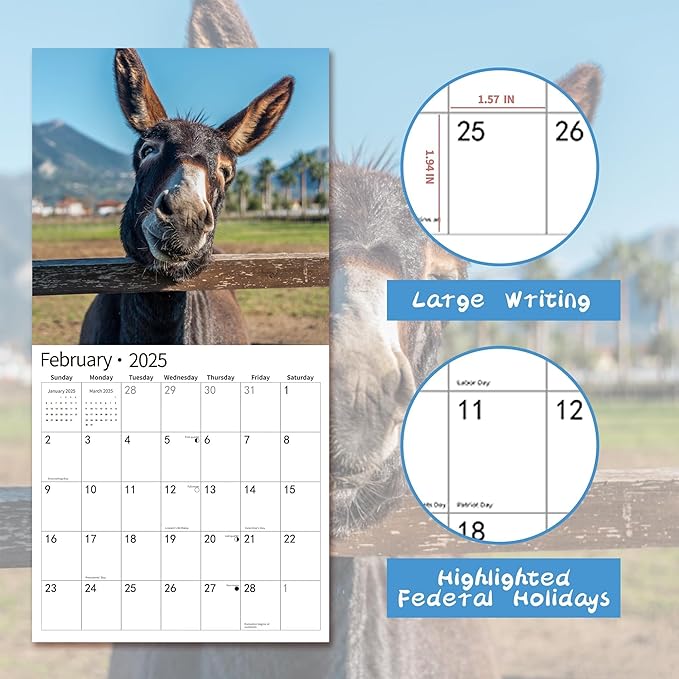 2025 Wall Calendar,Funny Calendar 2025, November 2024 - December 2025, Wall Calendar Funny Animal Memes, 12" x 24" Opened, Full Page 14 Months Thick Paper for Gift Calendar Organizing Planning