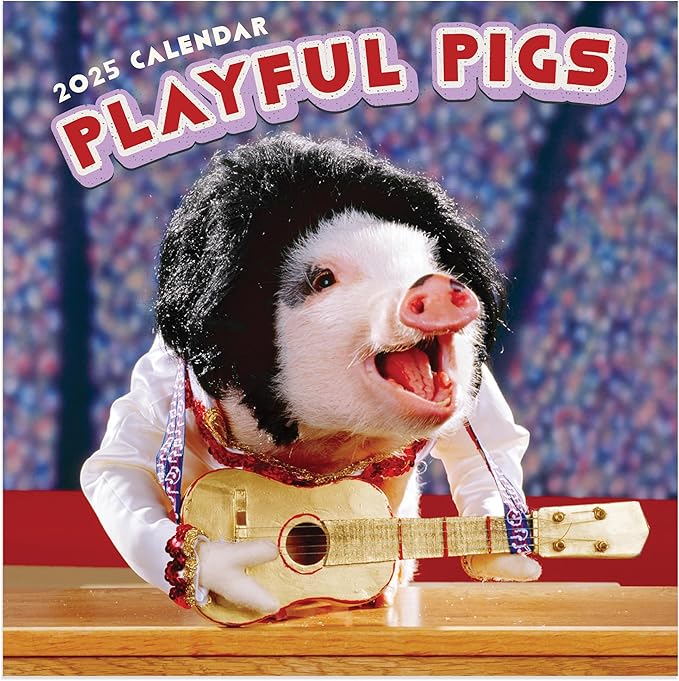 TF PUBLISHING 2025 Playful Pigs Mini Calendar - Large Grids for Appointments and Scheduling - Vertical Monthly Wall Calendar 2025 - Home and Office Organization - Premium Thick Gloss Paper - 7"x7"