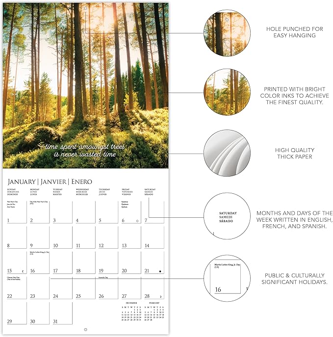 Graphique 2023 Wall Calendar Into the Woods | 12” x 12” | Thick Paper | Home & Office Organizer | Large Monthly Grid | 3 Languages & Marked Holidays | 4 Month Preview Page for 2024