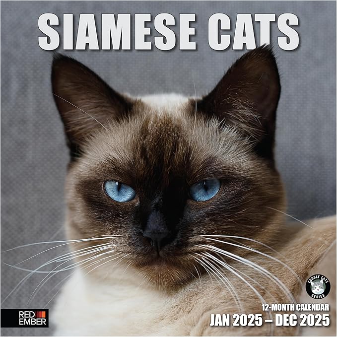 RED EMBER Siamese Cats 2025 Wall Calendar 12 Month | 12" x 24" Open | Thick & Sturdy Paper | Giftable | Calendar 2025