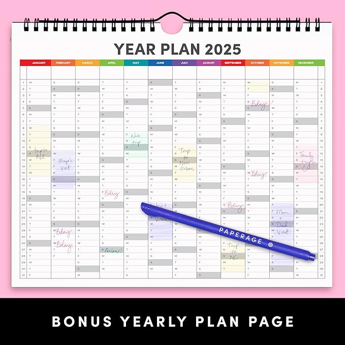 PAPERAGE Calendar 2025-12 Month (Rainbow), Minimalist Wall and Desk Calendar with Monthly Views and Yearly Plans – Small (9 in x 11 in)