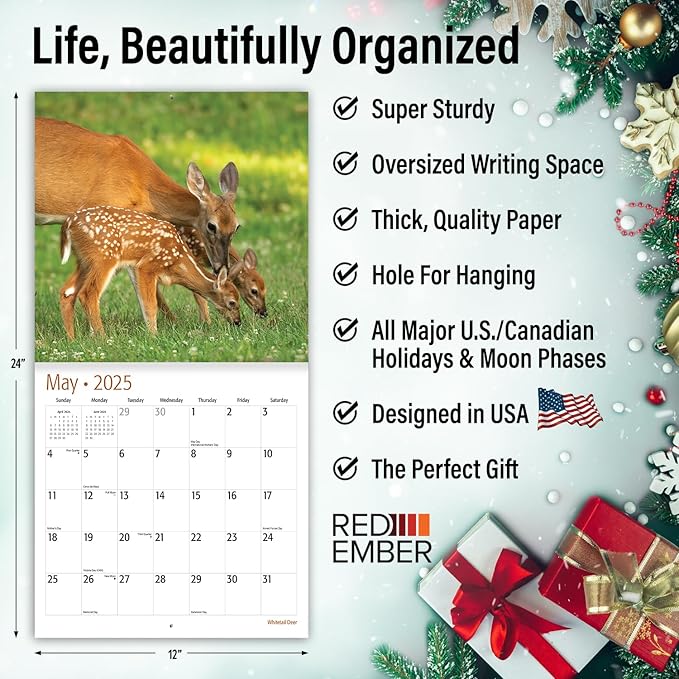 RED EMBER Whitetail Deer 2025 Wall Calendar 12 Month | 12" x 24" Open | Thick & Sturdy Paper | Giftable | Calendar 2025