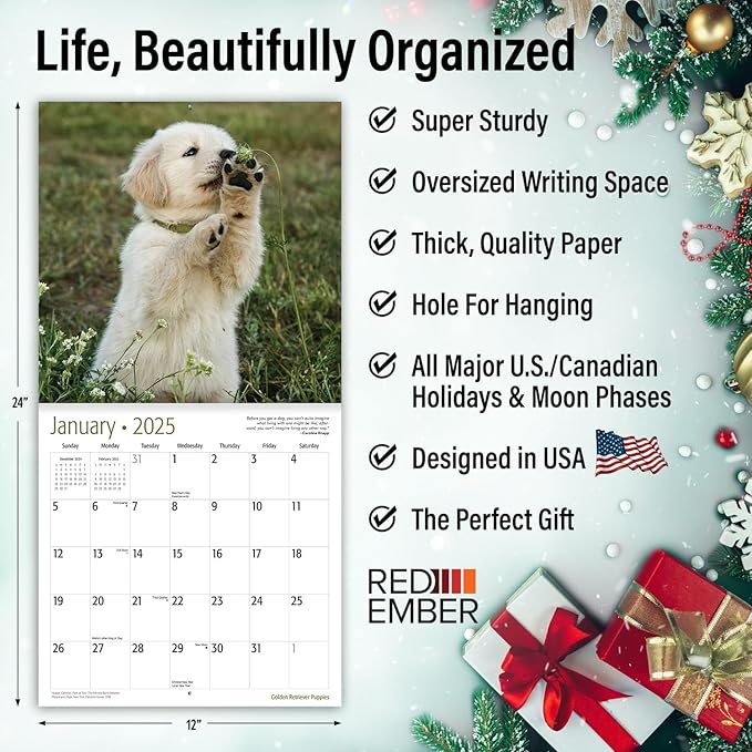 RED EMBER Golden Retriever Puppies 2025 Wall Calendar 12 Month | 12" x 24" Open | Thick & Sturdy Paper | Giftable | Calendar 2025