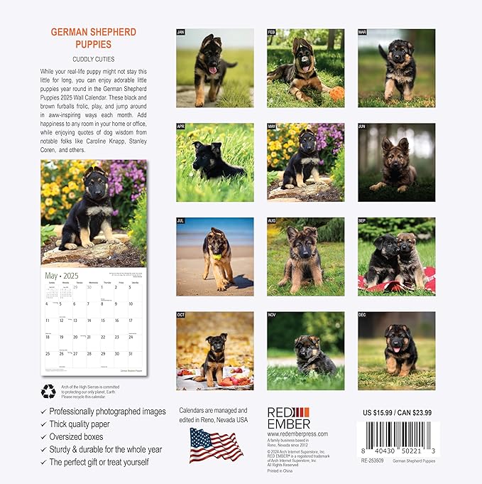 RED EMBER German Shepherd Puppies 2025 Wall Calendar 12 Month | 12" x 24" Open | Thick & Sturdy Paper | Giftable | Calendar 2025