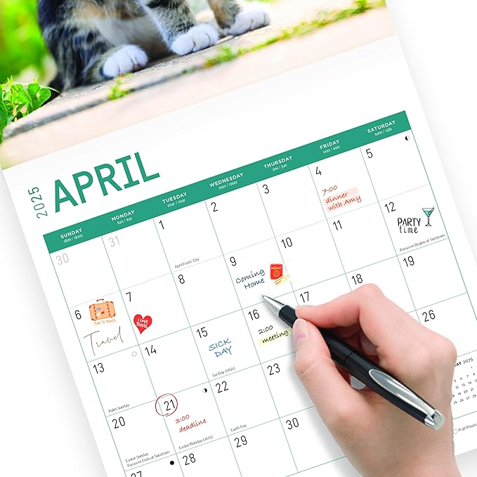 2025 Kittens Monthly Wall Calendar by Bright Day, Includes Over 300 Stickers, 12 x 12 Inch