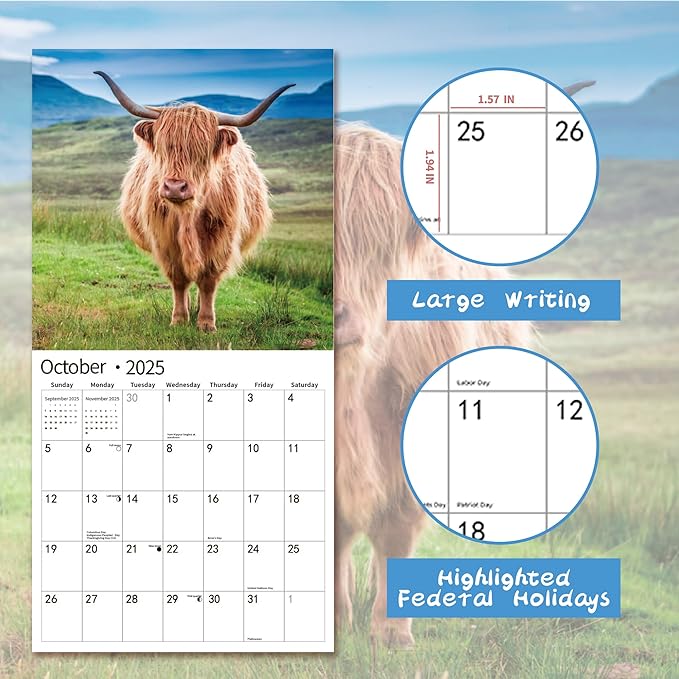 2025 Wall Calendar,Calendar 2025, November 2024 - December 2025, Wall Calendar Highland Cattle, 12" x 24" Opened,Full Page Months Thick & Sturdy Paper for Calendar Organizing & Planning