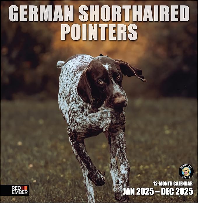 RED EMBER German Shorthaired Pointers 2025 Wall Calendar 12 Month | 12" x 24" Open | Thick & Sturdy Paper | Giftable | Calendar 2025