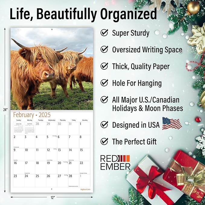 RED EMBER Highland Cattle 2025 Wall Calendar 12 Month | 12" x 24" Open | Thick & Sturdy Paper | Giftable | Calendar 2025