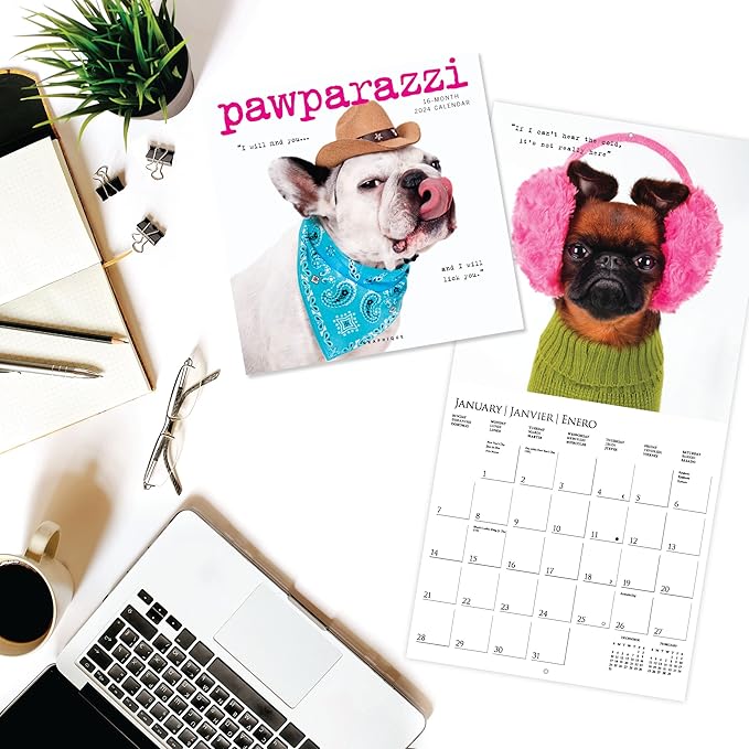Graphique 2024 Pawparazzi Wall Calendar | 12” x 12” | Thick Paper | Home & Office Organizer | Large Monthly Grid | 3 Languages & Marked Holidays | 4 Month Preview Page for 2025