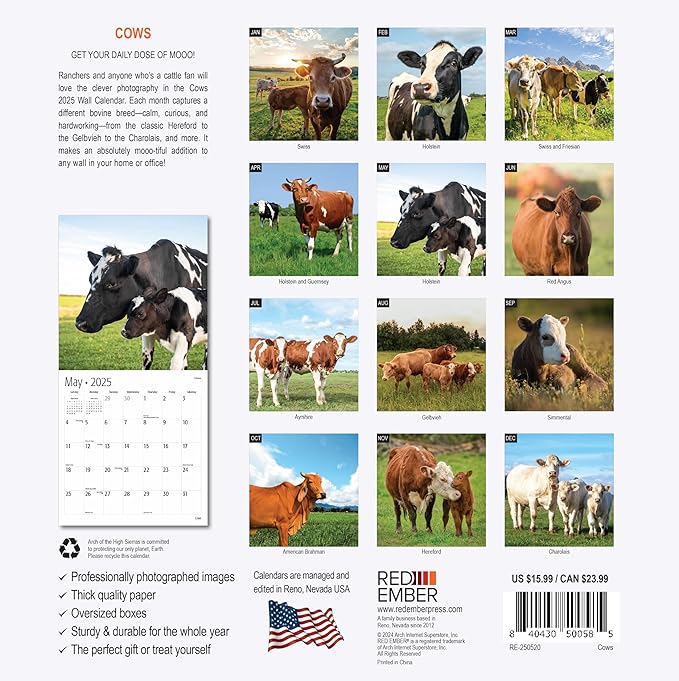 RED EMBER Cows 2025 Wall Calendar 12 Month | 12" x 24" Open | Thick & Sturdy Paper | Giftable | Calendar 2025