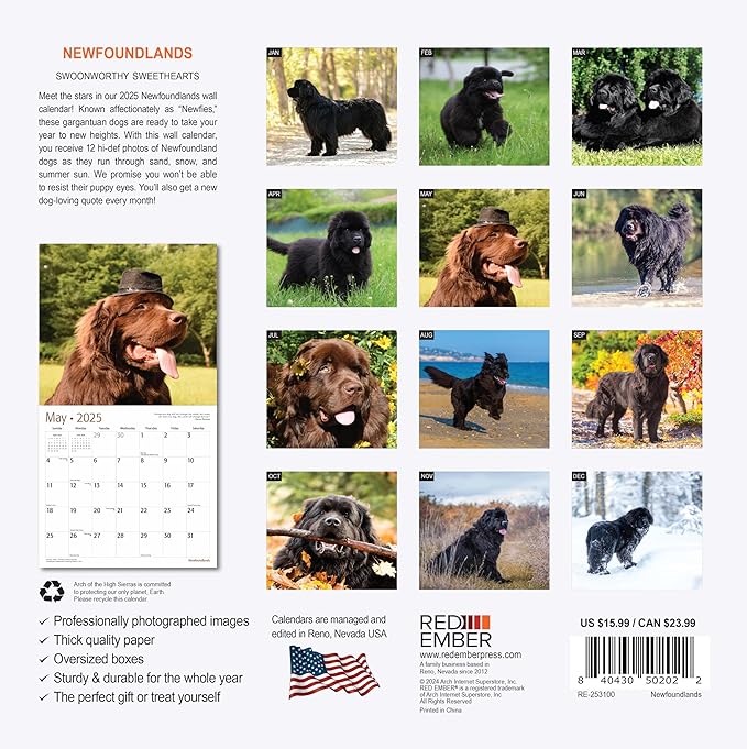 RED EMBER Newfoundlands 2025 Wall Calendar 12 Month | 12" x 24" Open | Thick & Sturdy Paper | Giftable | Calendar 2025