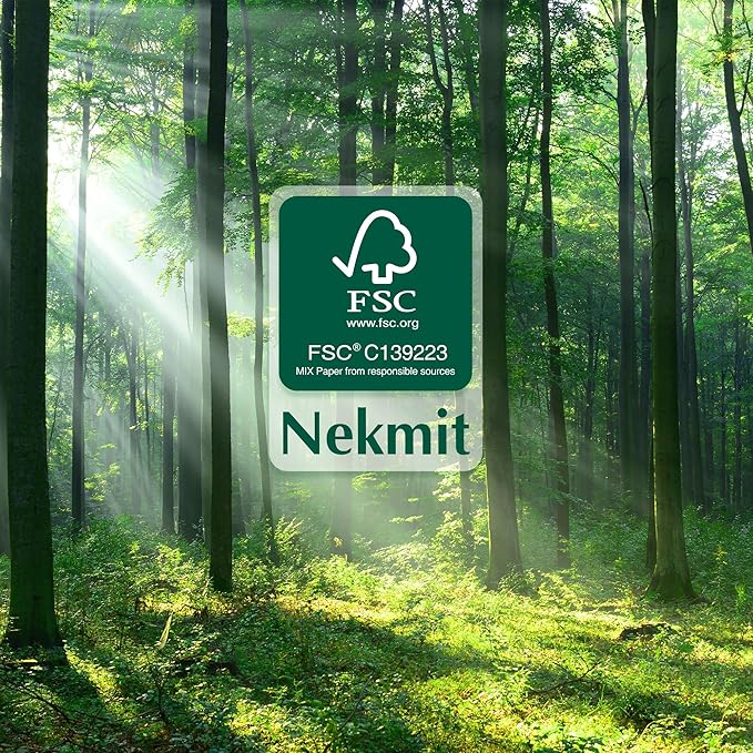 Nekmit Discbound Planner 2025, Work Breakdown Structure 12 Month Planner, 8.5"x11", Jan 2025 - Dec 2025 Daily, Weekly, Monthly Planner, Appointment Budget Book (Green)