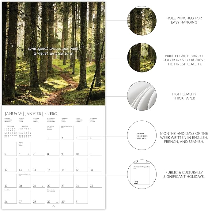 Graphique 2025 Into the Woods Wall Calendar | 12” x 12” | Thick Paper | Home & Office Organizer | Large Monthly Grid | 3 Languages & Marked Holidays | 4 Month Preview Page for 2026
