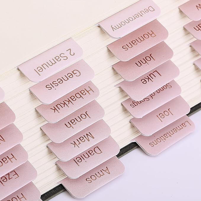 Mr. Pen- Bible Tabs, 75 Tabs, Pink Shades, Laminated Bible Tabs for Women and Men, Bible Tabs for Study Bible, Bible Index Tabs, Bible Book Tabs, Bible Labels Tabs, Mr Pen Bible Tabs