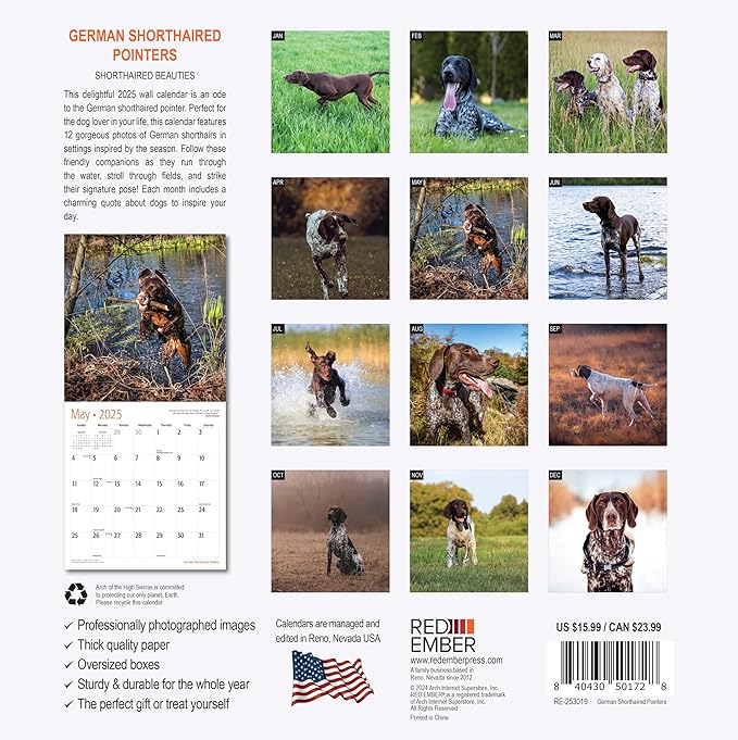 RED EMBER German Shorthaired Pointers 2025 Wall Calendar 12 Month | 12" x 24" Open | Thick & Sturdy Paper | Giftable | Calendar 2025