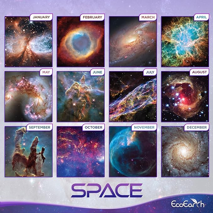 EcoEarth - Biodegradable 11x17 Inch (Open) 12-Month Vertical Hanging Wall Calendar - 2025 Monthly Calendar - Space