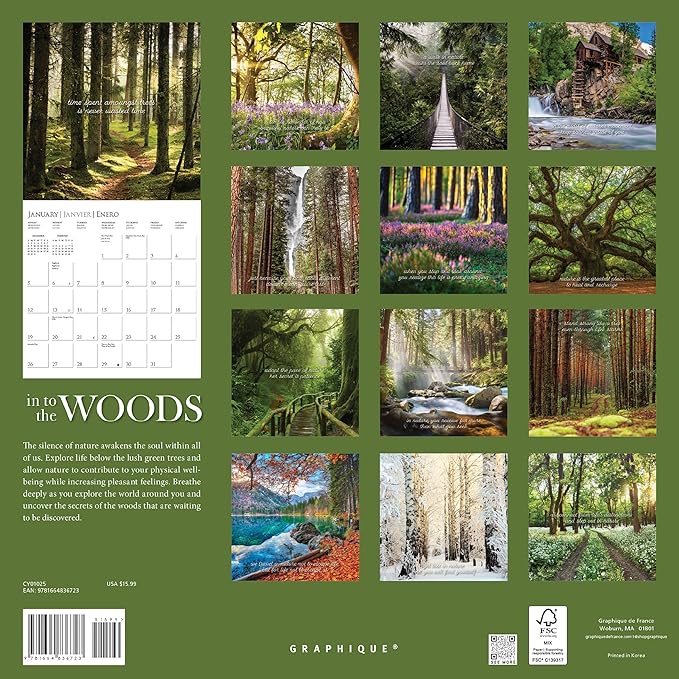 Graphique 2025 Into the Woods Wall Calendar | 12” x 12” | Thick Paper | Home & Office Organizer | Large Monthly Grid | 3 Languages & Marked Holidays | 4 Month Preview Page for 2026