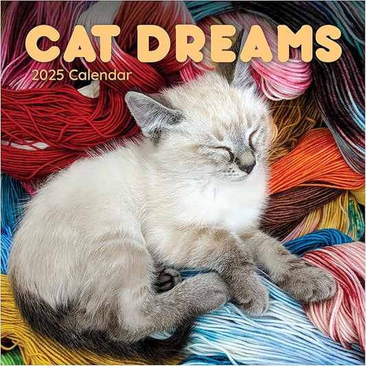 TF PUBLISHING 2025 Cat Dreams Wall Calendar - Large Grids for Appointments and Scheduling - Vertical Monthly Wall Calendar 2025 - Home and Office Organization - Premium Gloss Paper - 12"x12”