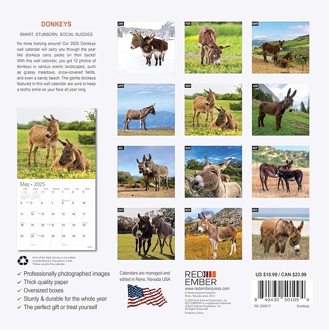 RED EMBER Donkeys 2025 Wall Calendar 12 Month | 12" x 24" Open | Thick & Sturdy Paper | Giftable | Calendar 2025