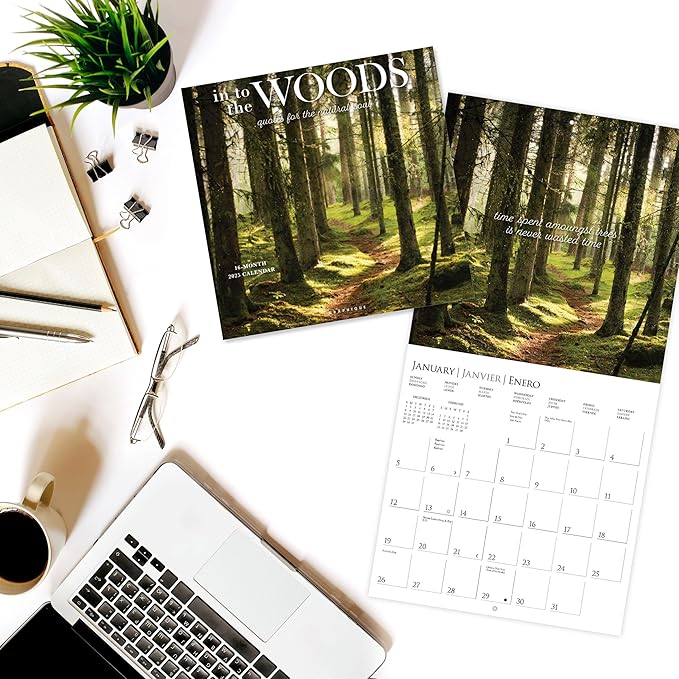 Graphique 2025 Into the Woods Wall Calendar | 12” x 12” | Thick Paper | Home & Office Organizer | Large Monthly Grid | 3 Languages & Marked Holidays | 4 Month Preview Page for 2026
